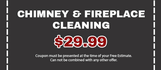 Chimney & fireplace cleaning $29.99