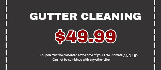 Gutter cleaning $49.99